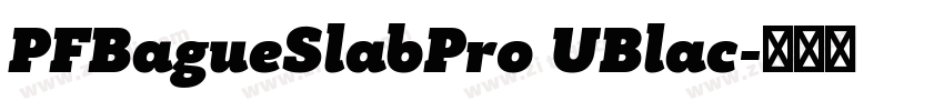 PFBagueSlabPro UBlac字体转换